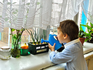 дети наблюдают за цветением растений